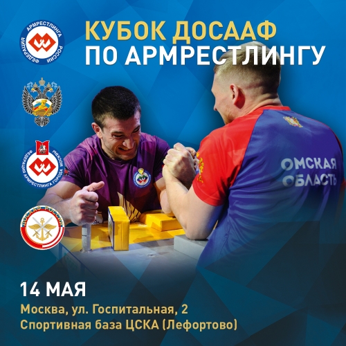 Кубок ДОСААФ
